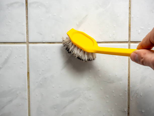 Best Mold Remediation for Schools in Elmwood Place, OH